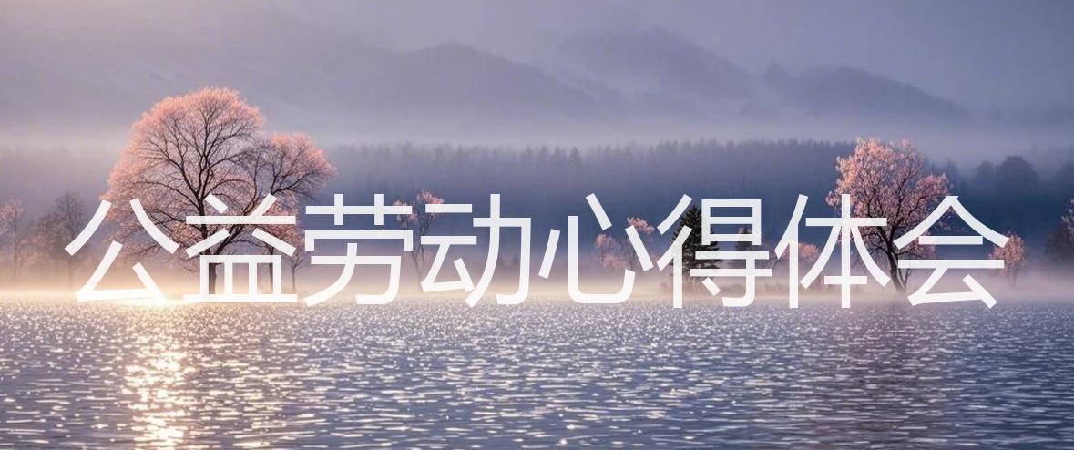 公益劳动心得体会