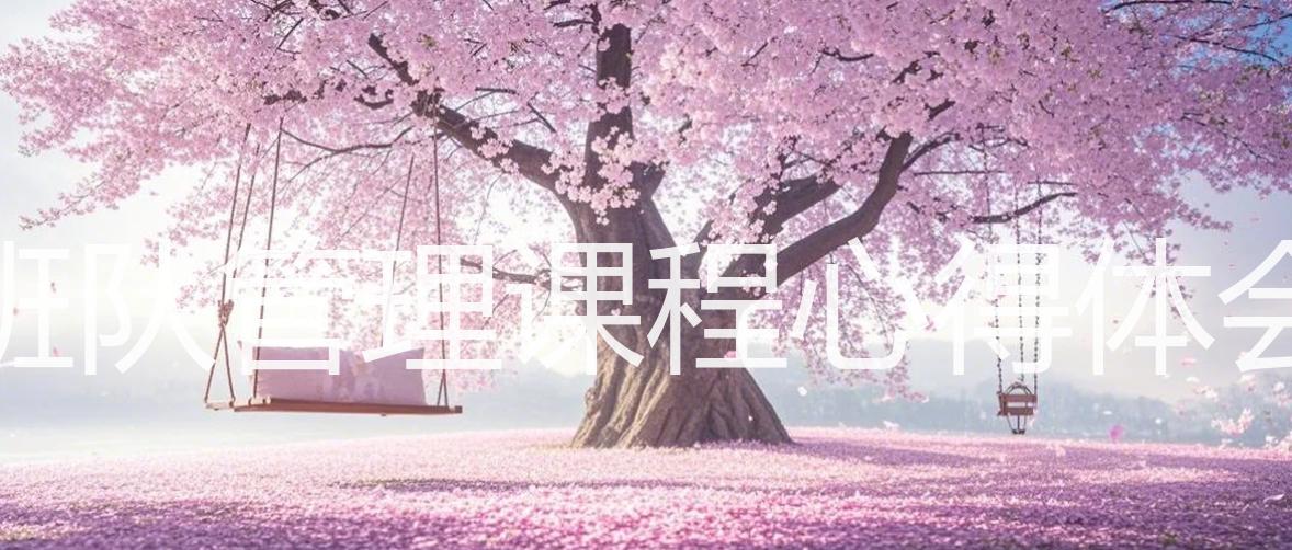 小学班队管理课程心得体会总结