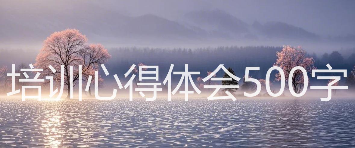 培训心得体会500字_15篇精选_双语翻译