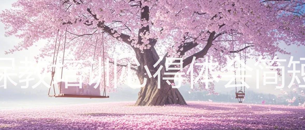 保教培训心得体会简短_15篇精选_双语翻译
