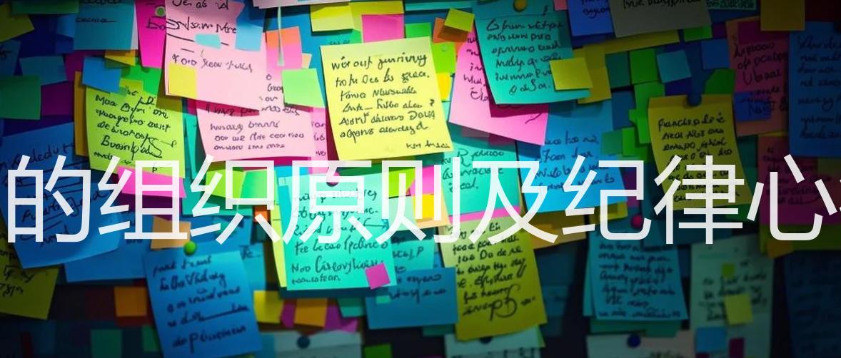 共青团的组织原则及纪律心得体会