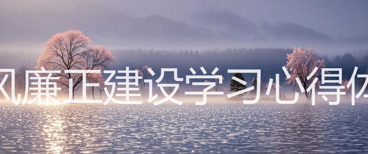 党风廉正建设学习心得体会